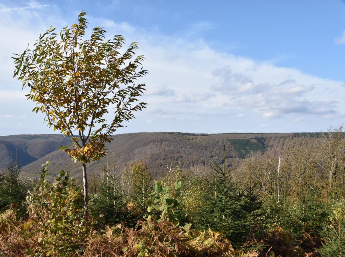 Le Au Bord De La Foret
