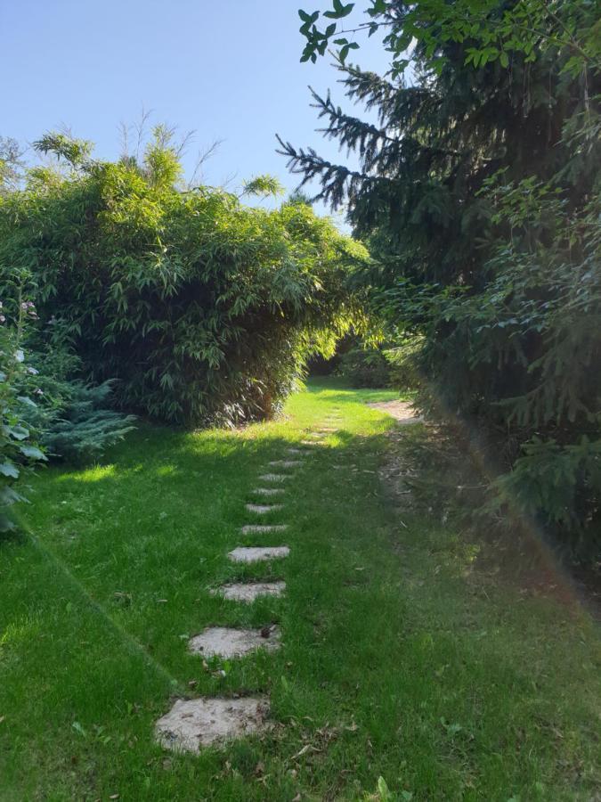 Le Au Bord De La Foret