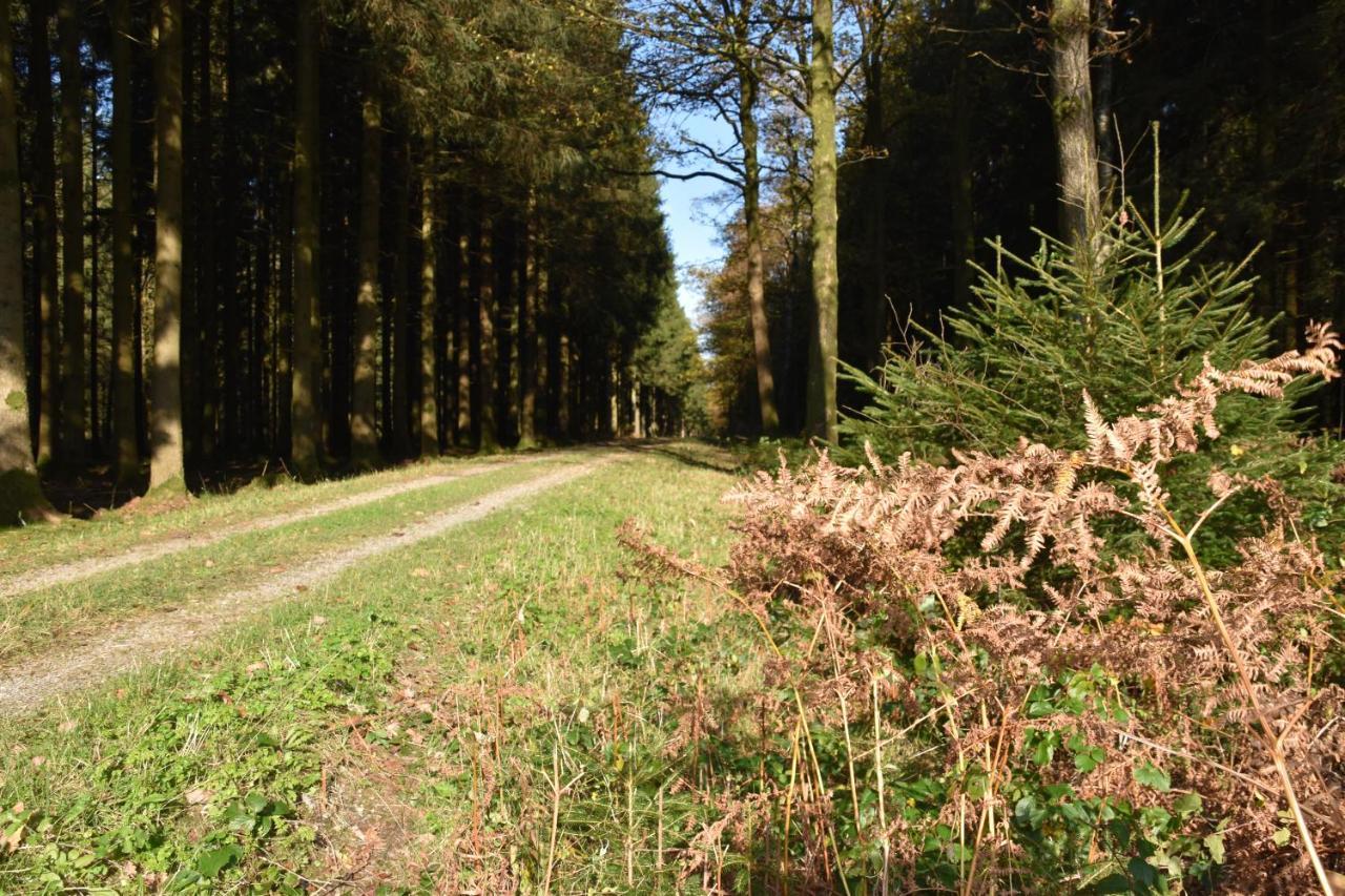 Le Au Bord De La Foret