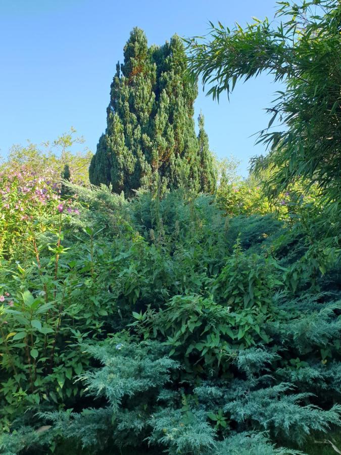 Hébergement de vacances Le Au Bord De La Forêt