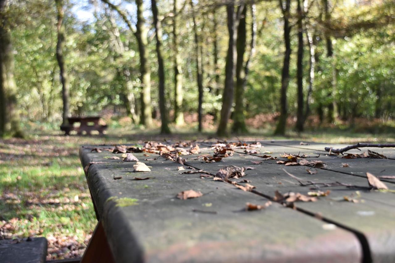 Le Au Bord De La Foret Holiday home Montherme